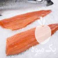 آگهی مشابه فروش عمده ماهی قزل الا و سالمون در گروه خرید و فروش ماهی قزل آلا در یکمیوه
