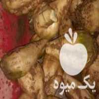 قیمت خرید چغندر دامی خوراک دام در قزوین در گروه خرید و فروش چغندر در یکمیوه