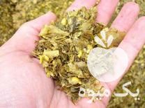 قیمت خرید سیلوی ذرت در گروه خرید و فروش ذرت در یکمیوه -عکس1