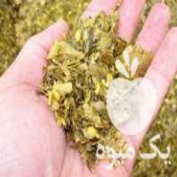 قیمت خرید سیلوی ذرت در گروه خرید و فروش ذرت در یکمیوه