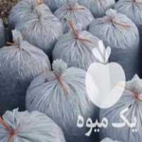 فروش ذرت علوفه ای سیلو شده در گروه خرید و فروش ذرت در یکمیوه