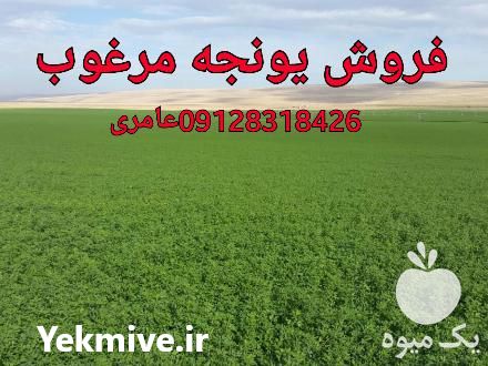 فروش خوراک اسب در گروه اسب و الاغ خر و فروش قاطر در یکمیوه -عکس1