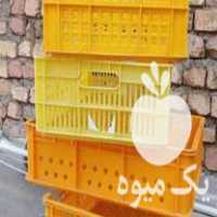 فروش سبد پلاستیکی محکم در اصفهان در گروه خرید و فروش انواع سبد در یکمیوه