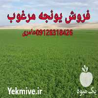 فروش خوراک اسب در گروه اسب و الاغ خر و فروش قاطر در یکمیوه