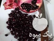 قیمت خرید نهال انار دون سیاه در بهشهر در گروه خرید و فروش نهال انار در یکمیوه -عکس1
