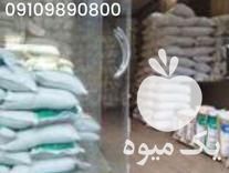 فروش برنج اصل گیلان در تهران در گروه خرید و فروش برنج در یکمیوه -عکس1