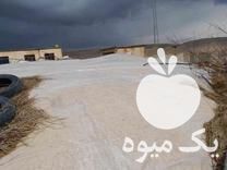 قیمت خرید کاه گندم خرمن کوب در میانه در گروه خرید و فروش گندم و جو در یکمیوه -عکس1