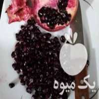 قیمت خرید نهال انار دون سیاه در بهشهر در گروه خرید و فروش نهال انار در یکمیوه