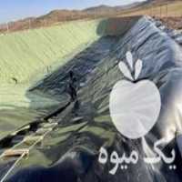 فروش ورق ژئوممبران استخری 15 میل مشکی در گروه خرید و فروش ژئوممبران در یکمیوه