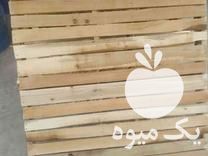 فروش پالت سازی و باکس در شیراز در گروه خرید و فروش پالت در یکمیوه -عکس1