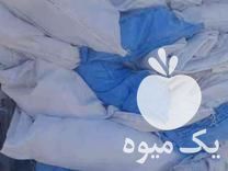 قیمت خرید گونی همه رقم در تهران در گروه خرید و فروش گونی در یکمیوه -عکس1