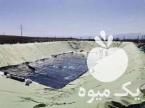 فروش ورق ژئوممبران در گروه خرید و فروش ژئوممبران در یکمیوه -عکس1