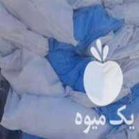 قیمت خرید گونی همه رقم در تهران در گروه خرید و فروش گونی در یکمیوه