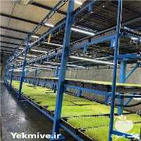 قیمت خرید کشت علوفه هیدرروپونی ک در گروه خوراک دام و طیور در یکمیوه