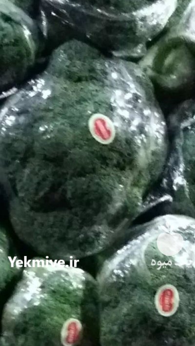 تولید بهترین بروکلی در منطقه ورامین در گروه خرید فروش عمده انواع کلم برگ و پیچ و بروکلی در یکمیوه -عکس1