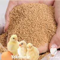 فروش خوراک دام و طیور و آبزیان در گروه خوراک دام و طیور در یکمیوه