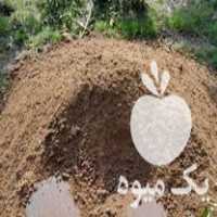 قیمت خرید کود حیوانی گوسفندی و گاوی در ساری در گروه خرید و فروش کود حیوانی در یکمیوه