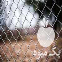 قیمت خرید فنس توری حصاری در تهران در گروه خرید و فروش پایه فنس در یکمیوه