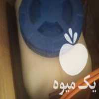 قیمت خرید سمپاش موتوری در گروه خرید و فروش سمپاش در یکمیوه