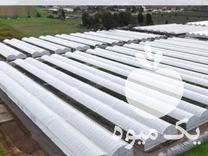 فروش سازه گلخانه در گروه خرید و فروش سوله و سازه گلخانه در یکمیوه -عکس1