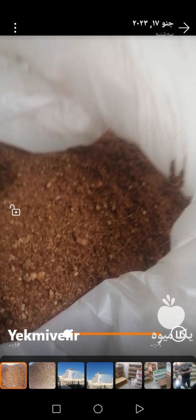 فروش آرد هسته خرما در جهرم در گروه نهاده ها دام و طیور در یکمیوه -عکس1