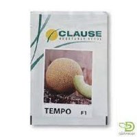 بذر ملون تمپو در گروه خرید و فروش بذر ملون در یکمیوه