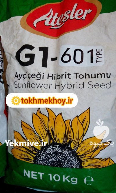 بذر هیبرید تخمه کانادایی S 300 در گروه خرید و فروش بذر آفتابگردان در یکمیوه -عکس1