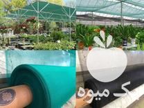 فروش توری سایبان در گروه خرید و فروش توری گلخانه در یکمیوه -عکس1