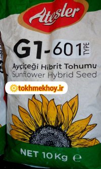 بذر هیبرید تخمه کانادایی S 300 در گروه خرید و فروش بذر آفتابگردان در یکمیوه