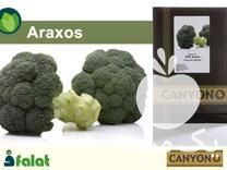 بذر کلم بروکلی آراکسوس کانیون در کرج در گروه خرید و فروش بذر صیفی جات در یکمیوه -عکس1