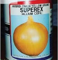 بذر پیاز تاکی در شیراز در گروه خرید و فروش بذر پیاز در یکمیوه