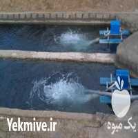 فروش انواع مختلف تجهیزات هوادهی ماهی در گروه خرید و فروش تجهیزات ماهی در یکمیوه