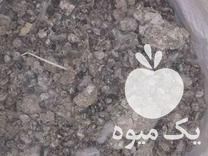 قیمت خرید کود کبوتر در گروه خرید و فروش کود کبوتر در یکمیوه -عکس1