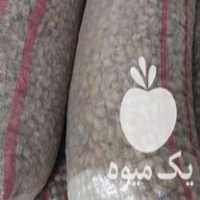 قیمت خرید بادام محب سفید در گروه خرید و فروش بادام در یکمیوه