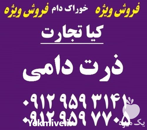 فروش ذرت وارداتی و داخلی در گروه خرید و فروش ذرت در یکمیوه -عکس1