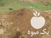 قیمت خرید کود حیوانی گوسفند در گروه خرید و فروش کود حیوانی در یکمیوه -عکس1