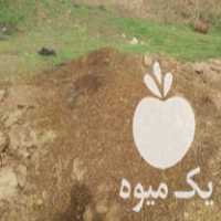 قیمت خرید کود حیوانی گوسفند در گروه خرید و فروش کود حیوانی در یکمیوه