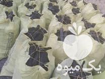 قیمت خرید زغال کبابی در گروه خرید و فروش زغال در یکمیوه -عکس1