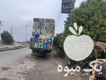 فروش کارتن هندوانه سیب‌زمینی پیاز در گروه خرید و فروش انواع بسته بندی کاغذی در یکمیوه -عکس1