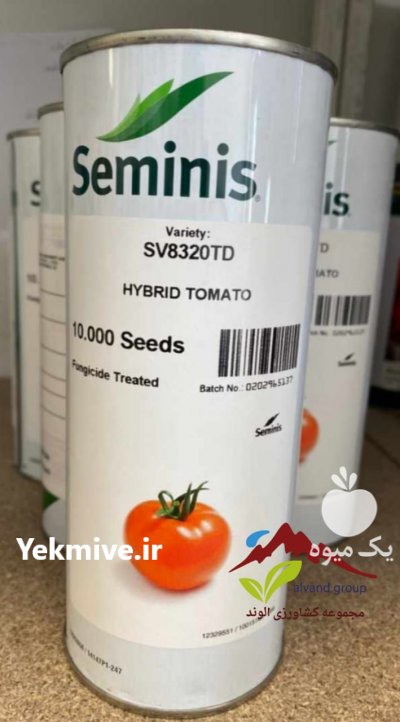 بذر گوجه 8320 در گروه خرید و فروش بذر گوجه در یکمیوه -عکس1