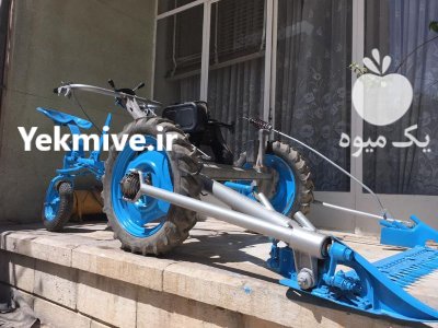 یونجه چین ایتالیایی لمباردینی در گروه خرید و فروش دستگاه یونجه در یکمیوه -عکس1