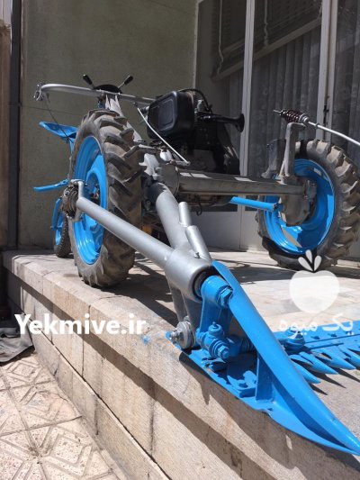 یونجه چین ایتالیایی لمباردینی در گروه خرید و فروش دستگاه یونجه در یکمیوه -عکس2