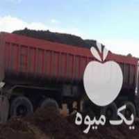 خرید کود گاوی پوسیده در گروه خرید و فروش کود گاوی در یکمیوه