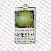 بذر هندوانه اورست در هرمزگان در گروه خرید و فروش بذر هندوانه در یکمیوه