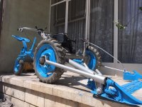 یونجه چین ایتالیایی لمباردینی در گروه خرید و فروش دستگاه یونجه در یکمیوه