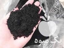قیمت خرید خاک سیاه مرغوب جنگلی در خرم آباد در گروه انواع محصولات خاک و تغذیه در یکمیوه -عکس1