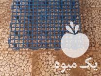 قیمت خرید پالت مرغ گوشتی در گتاب در گروه خرید و فروش پالت در یکمیوه -عکس1