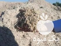 فروش کاه گندم باگاس پودر هسته سبوس گندم تفاله ها در بیرجند در گروه خرید و فروش گندم و جو در یکمیوه -عکس1