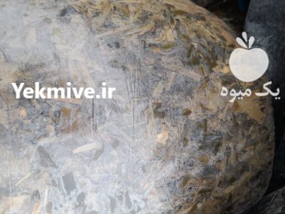 خرید و فروش علوفه ذرت و ترتیکاله در گروه خوراک دام و طیور در یکمیوه -عکس1