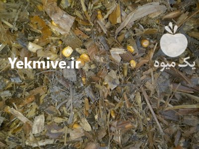 خرید و فروش علوفه ذرت و ترتیکاله در گروه خوراک دام و طیور در یکمیوه -عکس2